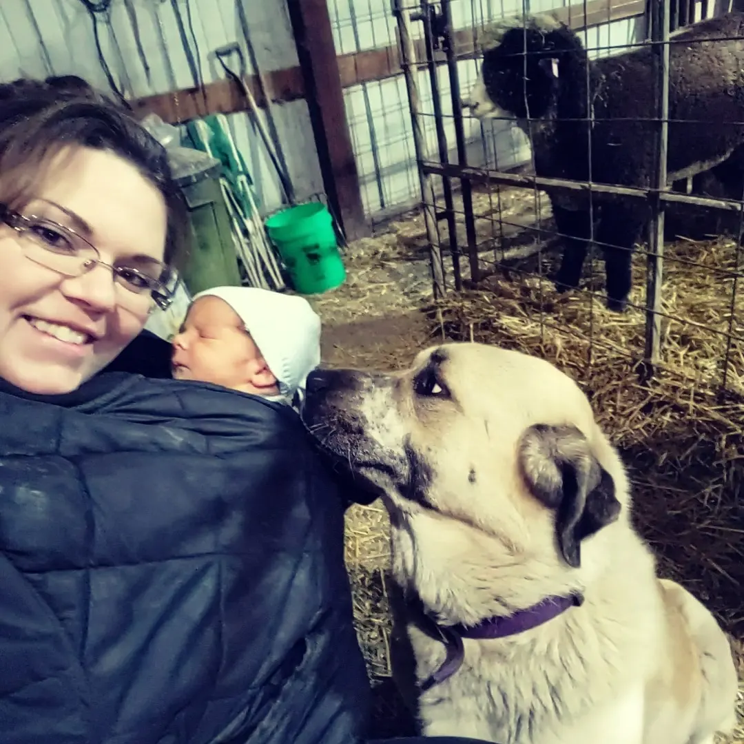 Ask a Livestock Expert - Amanda Limback 1