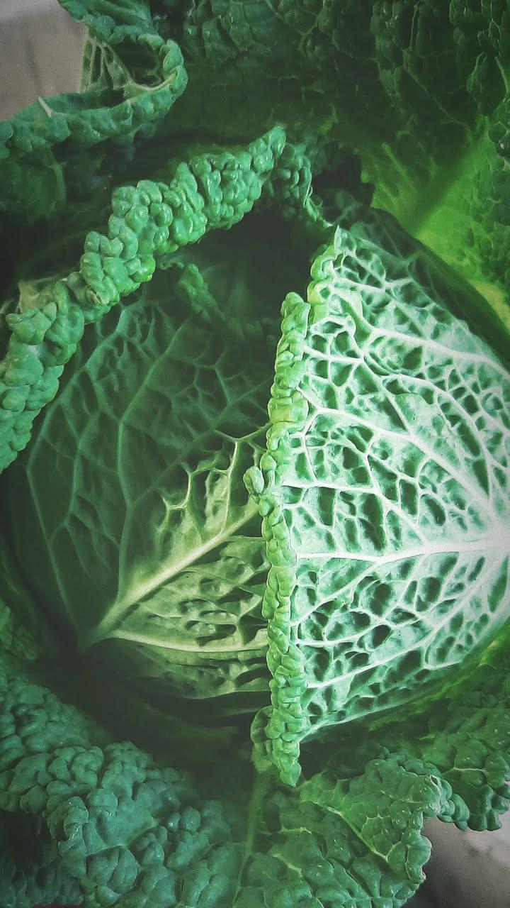 Ask a Food Preservation Expert - Jillian Ross 5