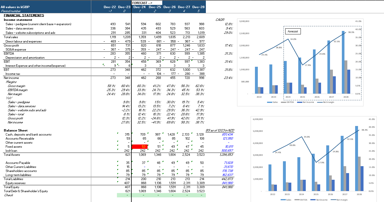 Ask a Financial Modeling Expert - Pierino Branella 1