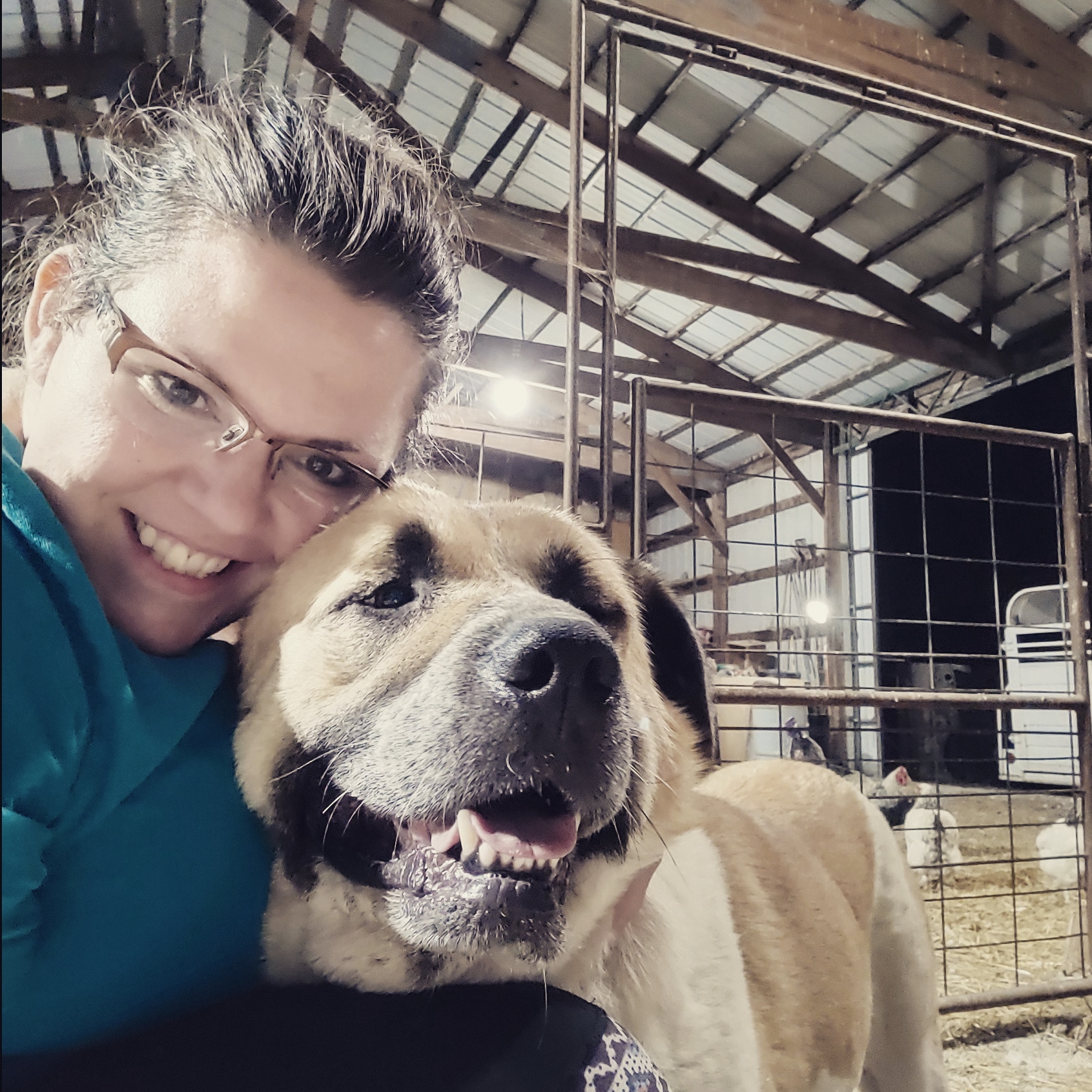 Ask a Livestock Expert - Amanda Limback 4