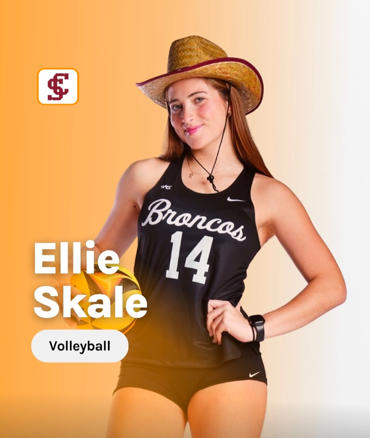 Ask a Volleyball Expert - Ellie Skale 2