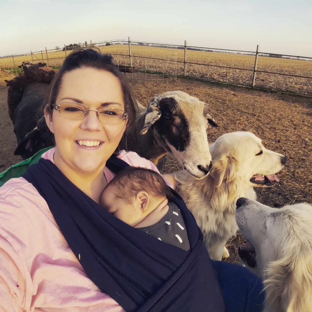 Ask a Livestock Expert - Amanda Limback 5