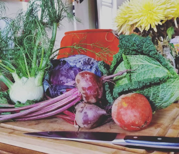 Ask a Food Preservation Expert - Jillian Ross 9