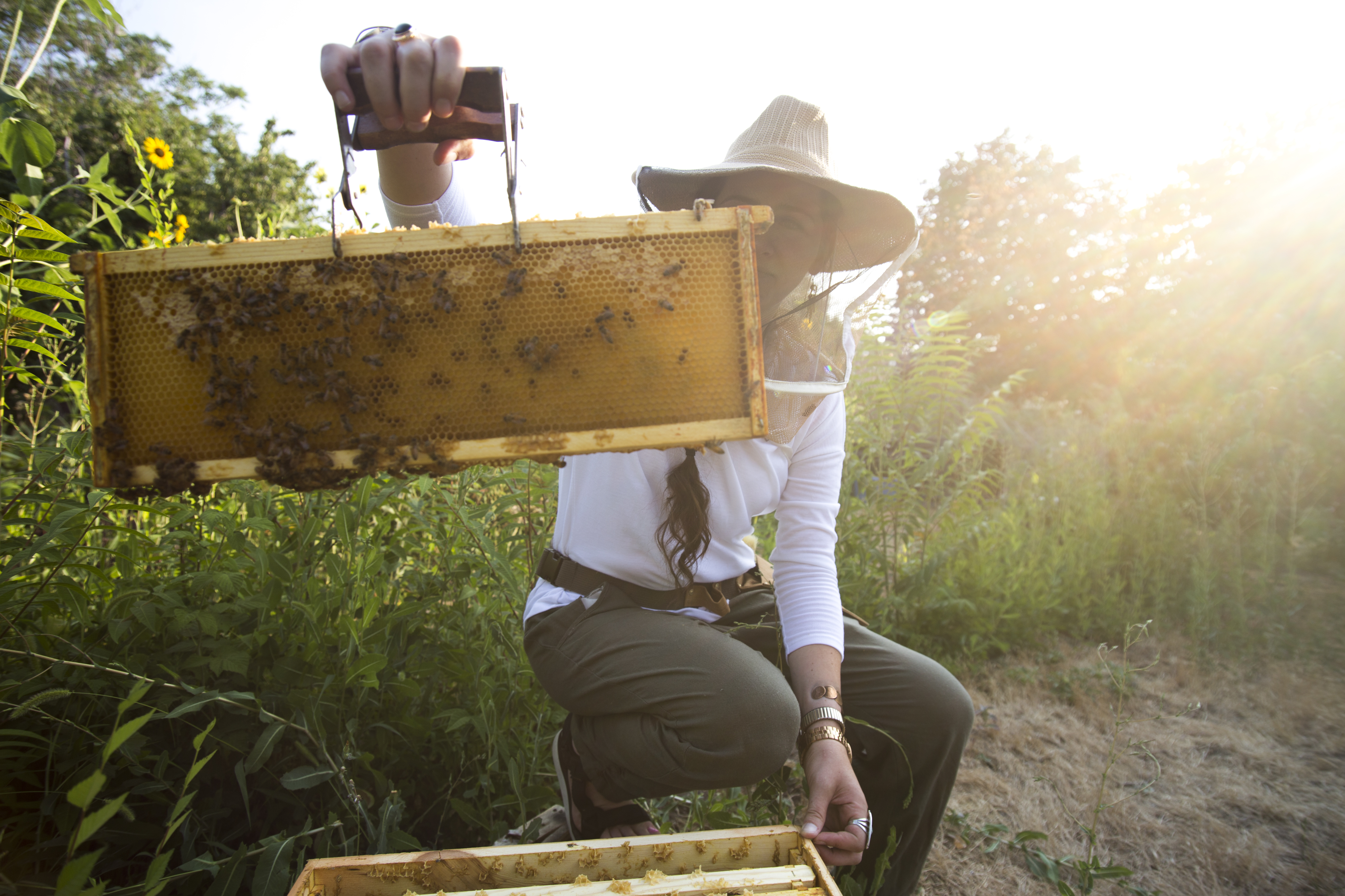 Ask a Beekeeping Expert - McKay Opeifa 9