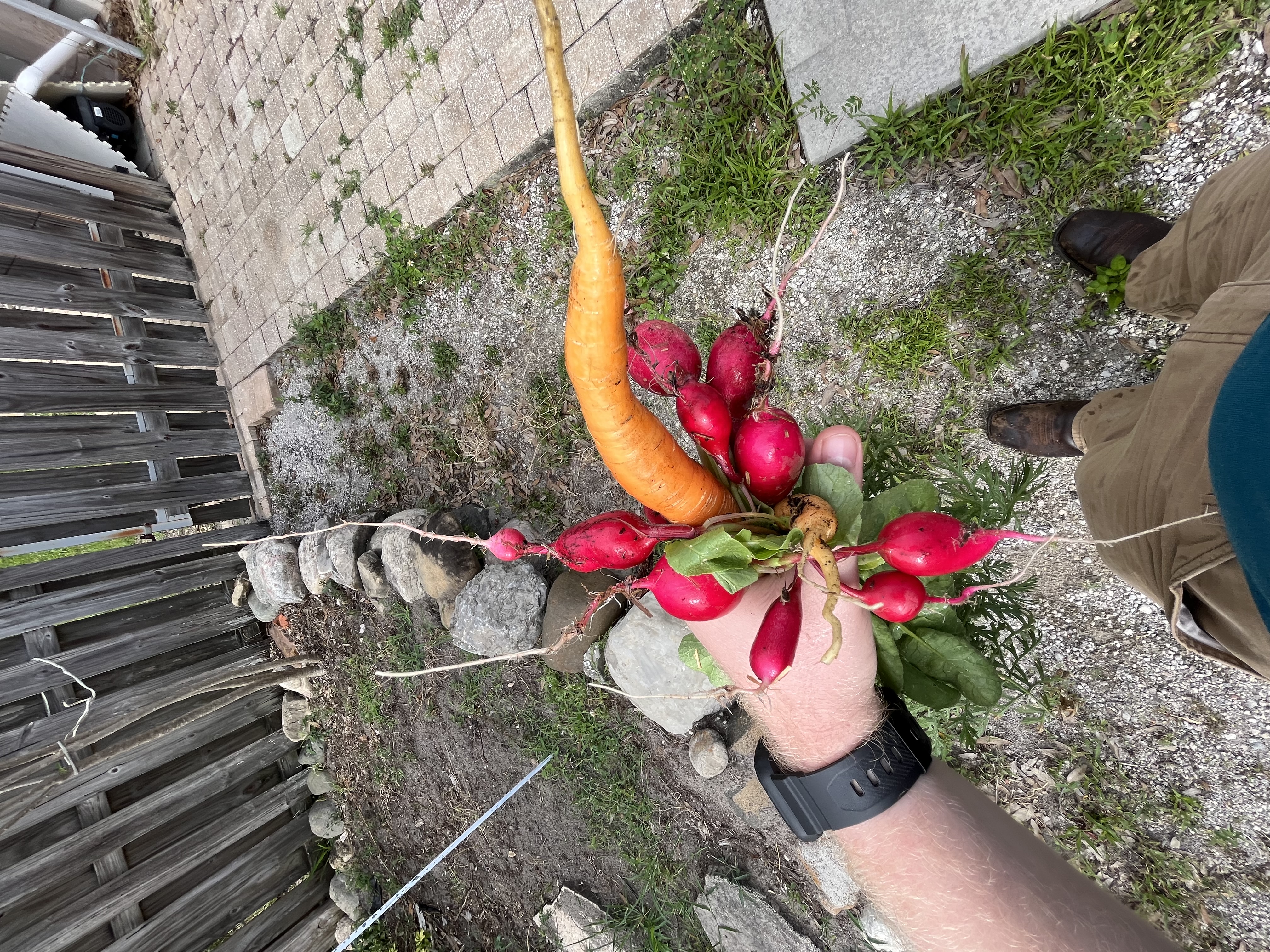 Ask a Gardening Expert - Lenin Lopez 9